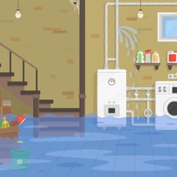 ASAP Sewer & Drain Cleaning | Neenah