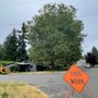 Photo of The New Northern Tree Services