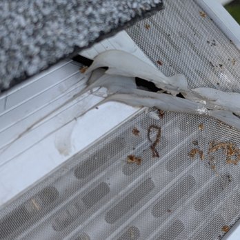 Pure Gutter Solutions - Gutter Services Near Me - Jackson, Michigan Pure Gutter Solutions - Gutter Services Near Me - Jackson, Michigan