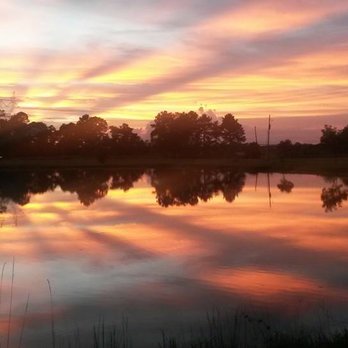 Rest Hill RV Park - spectacular sunsets! - RV Parks Near Me - Iowa, Louisiana Rest Hill RV Park - spectacular sunsets! - RV Parks Near Me - Iowa, Louisiana