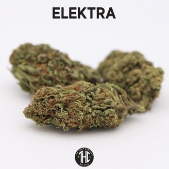 The Hemp Company - Smokeable Hemp - Cannabis Dispensaries Near Me - Raleigh, North Carolina The Hemp Company - Smokeable Hemp - Cannabis Dispensaries Near Me - Raleigh, North Carolina