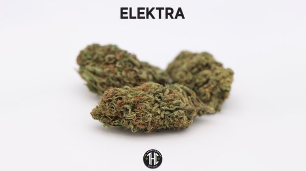 The Hemp Company NC - The Original THCa & CBD Dispensary by null