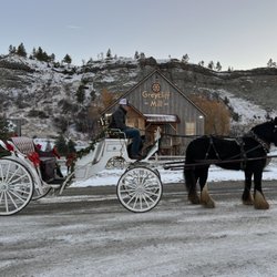 Greycliff Creek Ranch - Giving Carriage rides