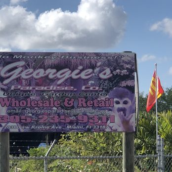 Georgie's Paradise - Nurseries & Gardening Near Me - Miami, Florida Georgie's Paradise - Nurseries & Gardening Near Me - Miami, Florida
