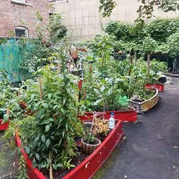 SWS Oasis - Community Gardens Near Me - The Bronx, New York SWS Oasis - Community Gardens Near Me - The Bronx, New York
