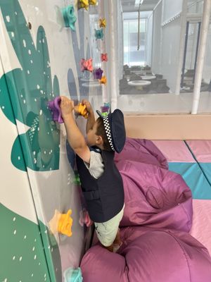 Huckleberry Play by null