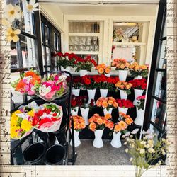 Blooms Florist & Flower Delivery