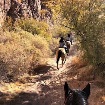 Wild West Horseback Adventures - Horseback Riding Near Me - Las Vegas, Nevada Wild West Horseback Adventures - Horseback Riding Near Me - Las Vegas, Nevada