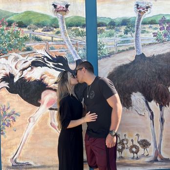 Ostrichland USA - After seeing the reviews on Yelp here, we had to keep it going with a kissing pic in front of the Ostrich mural! - Attraction Farms Near Me - Solvang, California Ostrichland USA - After seeing the reviews on Yelp here, we had to keep it going with a kissing pic in front of the Ostrich mural! - Attraction Farms Near Me - Solvang, California