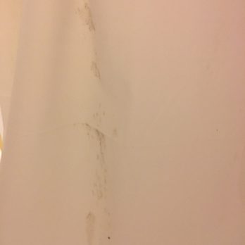 Courtyard by Marriott Carolina Beach Oceanfront - The mold-like substance on the shower curtain. - Hotels Near Me - Carolina Beach, North Carolina