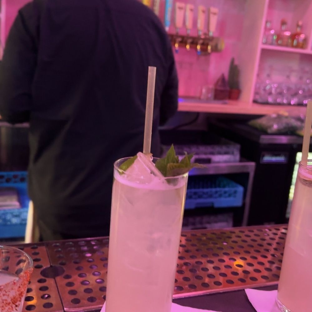 Pink Shark - Mojito's - Music Venues Near Me - San Antonio, Texas Pink Shark - Mojito's - Music Venues Near Me - San Antonio, Texas