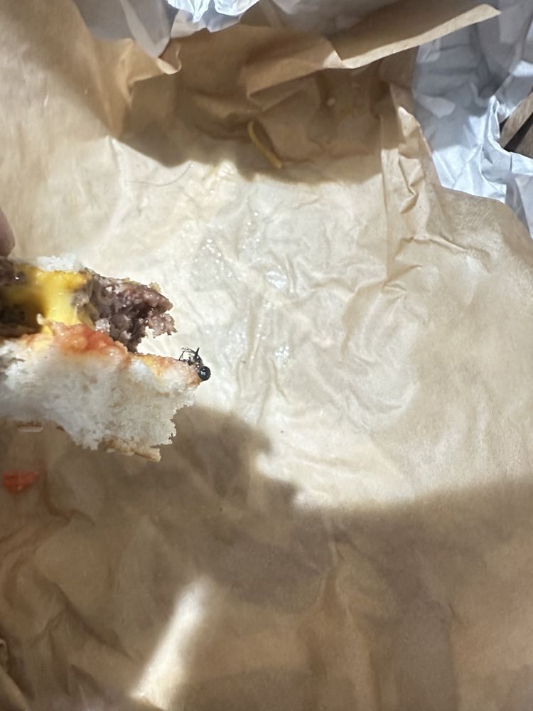 MCDONALD’S Updated September 2024 11 Photos & 68 Reviews 110 James Madison Hwy, Culpeper