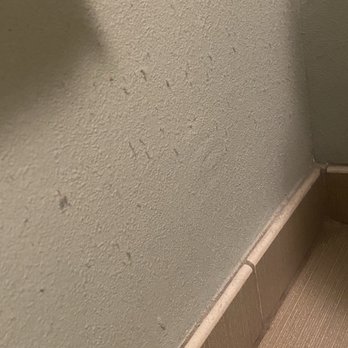 Hyatt Place Waikiki Beach - Dust Buildup - Hotels Near Me - Honolulu, Hawaii Hyatt Place Waikiki Beach - Dust Buildup - Hotels Near Me - Honolulu, Hawaii