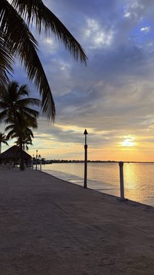 Reefhouse Resort & Marina by null