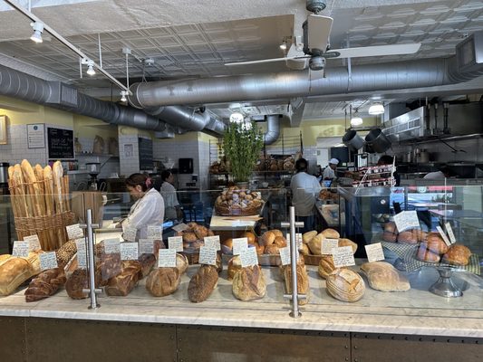 The Kneaded Bread by null
