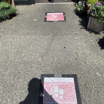 Safeway - Fading fast. The sun shines bright here. - Grocery Near Me - Aberdeen, Washington