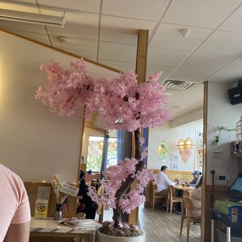 Blue Fish - Atmosphere - Japanese Near Me - Ocean City, Maryland Blue Fish - Atmosphere - Japanese Near Me - Ocean City, Maryland