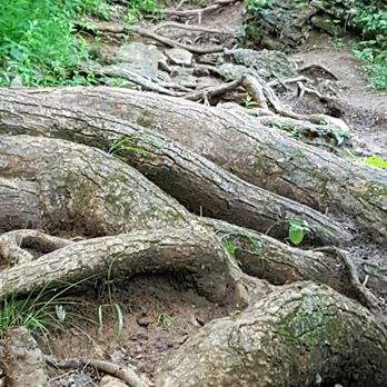 Clifty Falls State Park - Climbing Near Me - Madison, Indiana