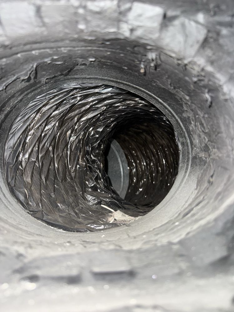 24H Mold Inspection of Orange County - mold inspector in Anaheim, CA