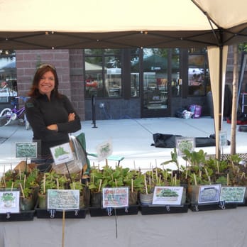 Northwest Crossing Farmers Market - 2010 Stawberry Moon table for organic veggie plant starts - Farmers Market Near Me - Bend, Oregon Northwest Crossing Farmers Market - 2010 Stawberry Moon table for organic veggie plant starts - Farmers Market Near Me - Bend, Oregon