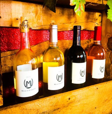Valley Mills Vineyards by null