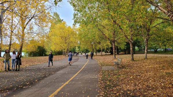 Green Lake Park by null