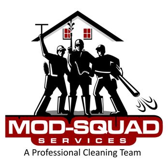 Mod-Squad Services - Window Washing Near Me