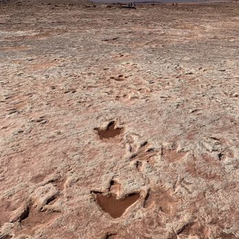 Dinosaur Tracks - Landmarks & Historical Buildings Near Me - Tuba City, Arizona