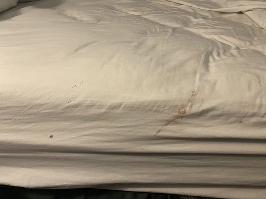 Quality Inn & Suites Gilroy by null