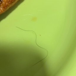 So not a beard hair So not a beard hair