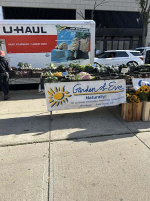 Forest Hills Greenmarket by null