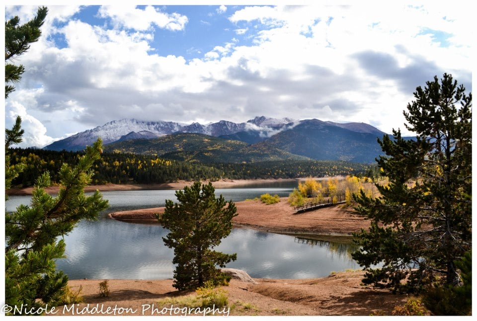 OLIVE REAL ESTATE GROUP Updated August 2024 102 N Cascade Ave