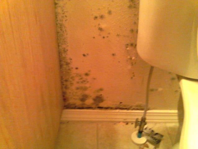 Slide of Boise City Handyman