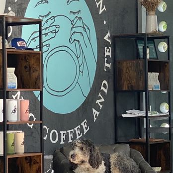 The Lost Bean - Denzel the chill pup!! - Coffee & Tea Near Me - Costa Mesa, California The Lost Bean - Denzel the chill pup!! - Coffee & Tea Near Me - Costa Mesa, California