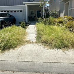 Rodriguez Lawn Care - Before