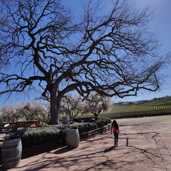 The Fableist Wine - Wineries Near Me - Templeton, California