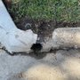 Photo of Houston Area Concrete