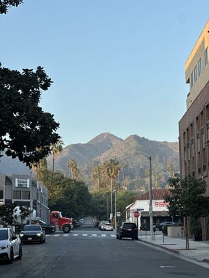 Electric Owl by null