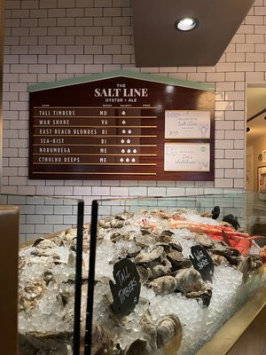 The Salt Line by null
