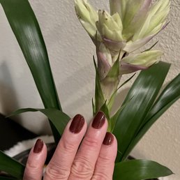Love my gel nail color