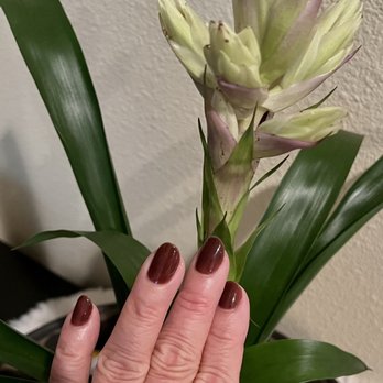 DeVone Beauty - Love my gel nail color - Waxing Near Me - San Leandro, California