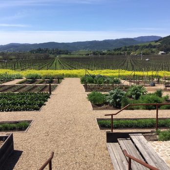 Regusci Winery - Wine Tasting Room Near Me - Napa, California Regusci Winery - Wine Tasting Room Near Me - Napa, California
