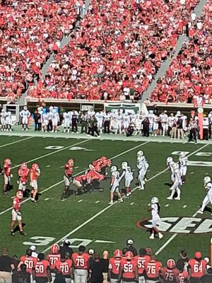 Sanford Stadium by null