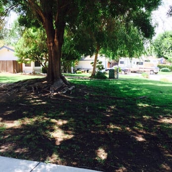 Olive Park East - Shade! - Parks Near Me - Bakersfield, California Olive Park East - Shade! - Parks Near Me - Bakersfield, California