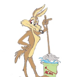 ACME Cleaners TNT