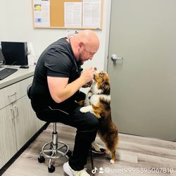 Jamacha Pet Vets - Best Dr.