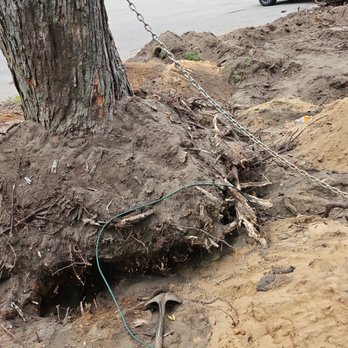 Ando Propert Services - Stump removal - Painters Near Me Ando Propert Services - Stump removal - Painters Near Me