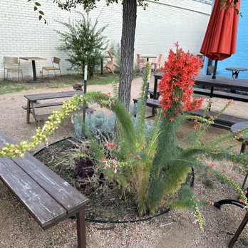 Race Street Coffee - Coffee & Tea Near Me - Fort Worth, Texas Race Street Coffee - Coffee & Tea Near Me - Fort Worth, Texas