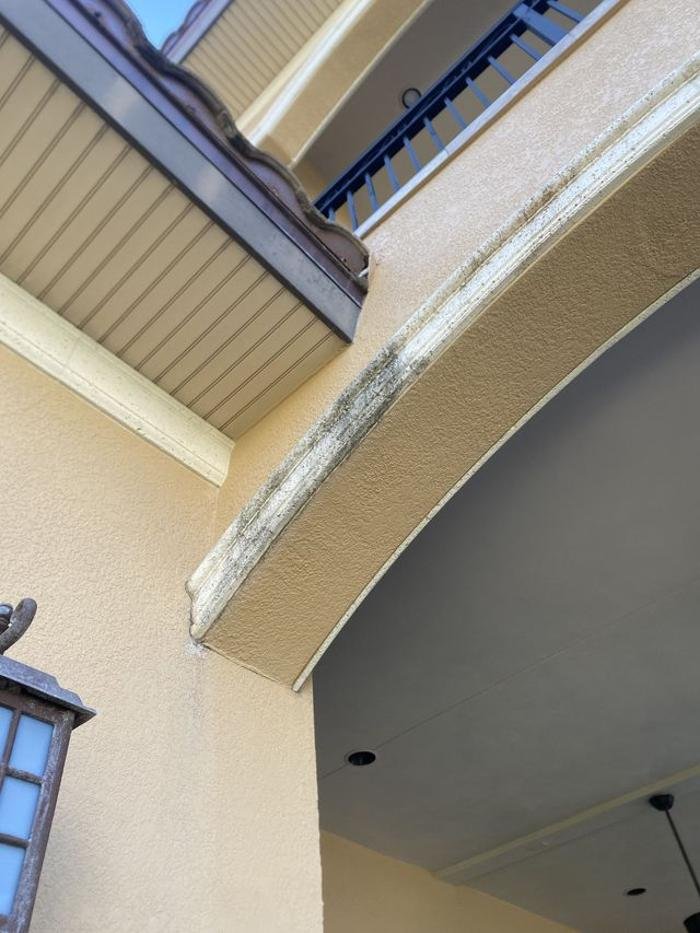 Slide of Brower Pressure Washing