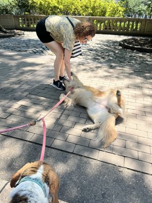 Rittenhouse Square by null Rittenhouse Square by null